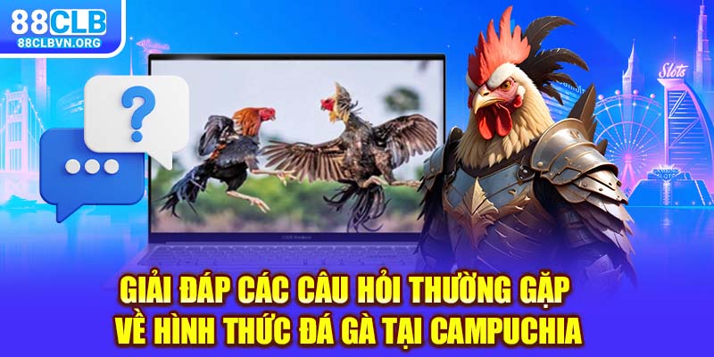 Giải đáp các câu hỏi thường gặp về hình thức đá gà tại Campuchia