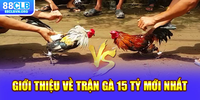 Giới thiệu về trận gà 15 tỷ mới nhất