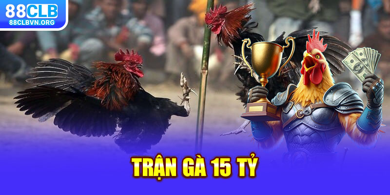 trận gà 15 tỷ